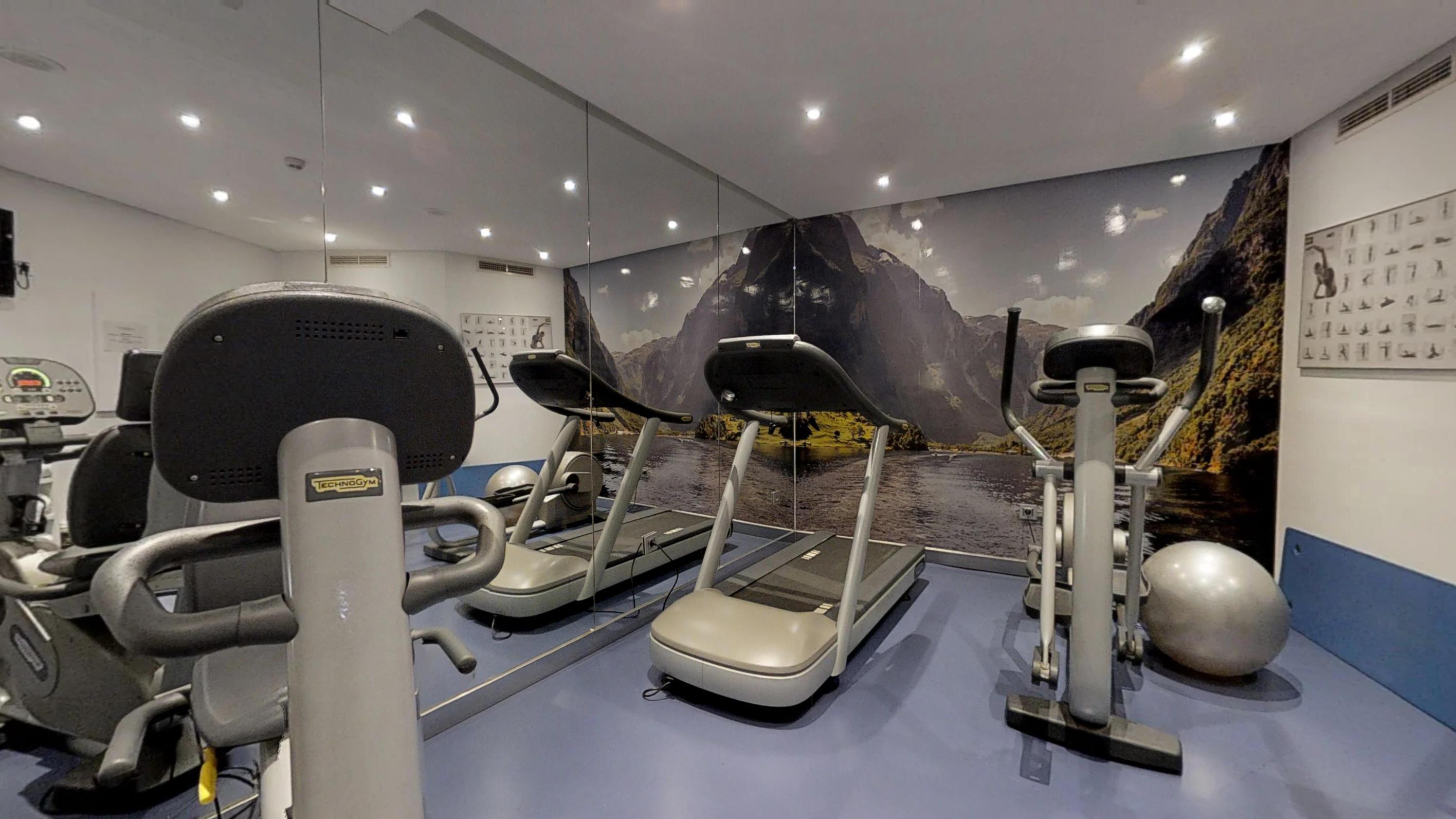 ヴィンチ セレクシオン アレイサ ホテル ブティック&スパ ベナルマデナ エクステリア 写真 The gym at the hotel